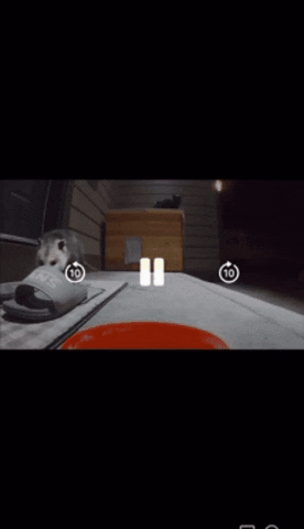 wrathmonkey giphygifmaker giphygifmakermobile GIF