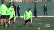 werder werderbremen GIF