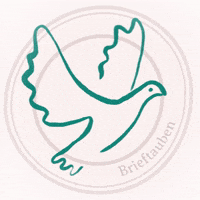 Brieftauben corona covid19 brieftaubenaktion brieftauben GIF