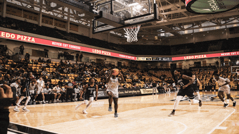 Basketball Hype GIF by Towson University