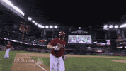 arizona diamondbacks GIF by MLB