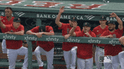 Regular Season Sport GIF by MLB