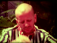 ringo starr beatles GIF by tylaum