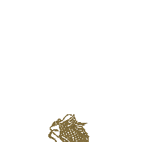 Travel Swimming Sticker