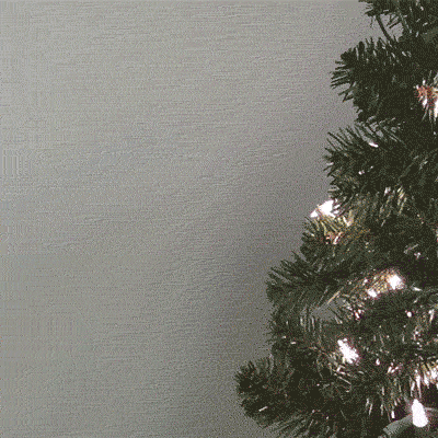 christmas lol GIF by Lance Ford