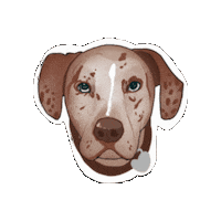 Dog Pup Sticker by Portland Leather