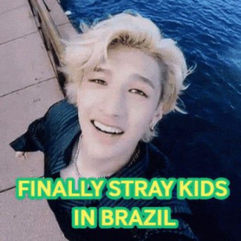 Brazil Stray Kids GIF