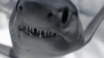 sharknado GIF by SYFY