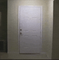 GIF by Giphy QA