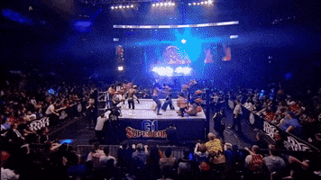 Ring Of Honor Chaos GIF by Ian Riccaboni