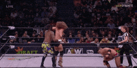 Jungle Boy Wrestling GIF by AEWonTV