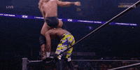 Jungle Boy Wrestling GIF by AEWonTV