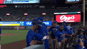 Blue Jays Baseball GIF by Toronto Blue Jays