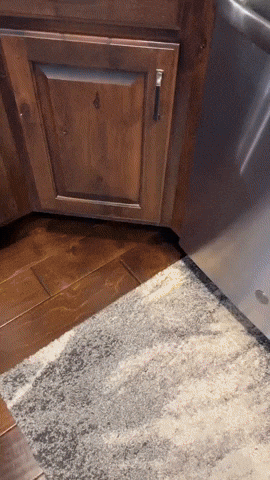 Amitpik giphyupload GIF