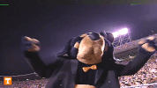 Tennessee Football Ut GIF by Tennessee Athletics