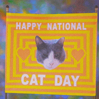 National Cat Day