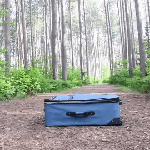 Lemko giphyupload GIF