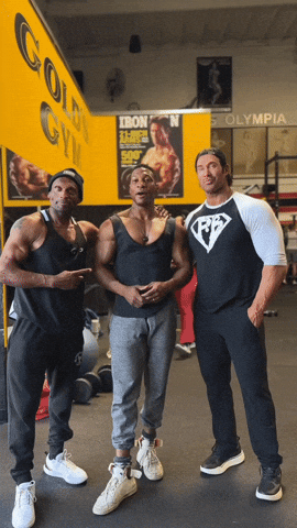 What Is Love Rhino GIF by Mike O'Hearn
