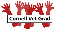 Cornell Grad Sticker by Cornell University