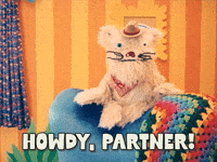 Tv Show Fun GIF by Happy Place