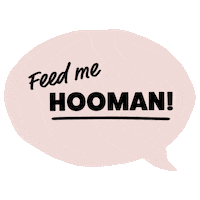 Feed Me Cat Sticker by Itch.