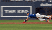Blue Jays Lol GIF by Toronto Blue Jays