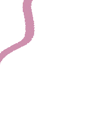 Pink Hearts Sticker
