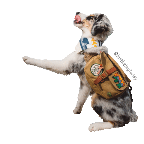 justbeingfarley giphyupload dog wave backpack Sticker