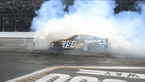 Darlington GIF by NASCAR