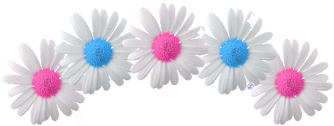 mario barth flower Sticker by INTENZE Advanced Tattoo Ink