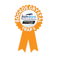 Irish Greyhound Derby Sticker by Go Greyhound Racing