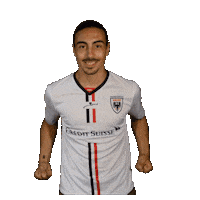 Almeida Celebrating Sticker by FCAarau