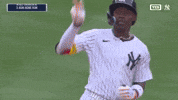 Celebrate New York Yankees GIF by MLB