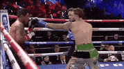 top rank trboxing GIF by Top Rank Boxing