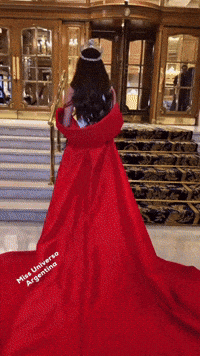 Miss Universo Argentina GIF