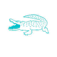 rakastella_official miami events alligator gator Sticker