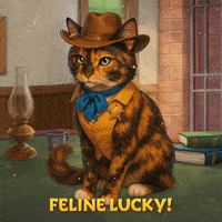 Wild West Smile GIF by G5 games