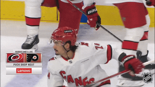 Happy Carolina Hurricanes GIF by NHL