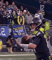 One Handed Catch Superbowl GIF