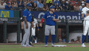 Blue Jays Baseball GIF by Toronto Blue Jays