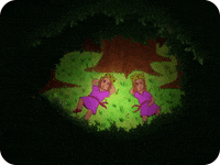 fairy tail illustration GIF