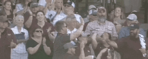 World Series Baseball GIF by NCAA Championships