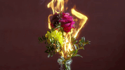 ill-studio GIF by NOWNESS