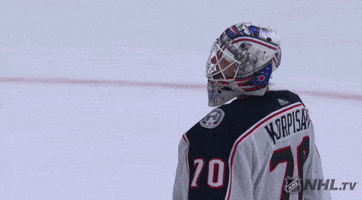 happy ice hockey GIF by NHL