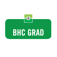 Celebration Graduation Sticker by elcentrocollege