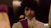 Purple Rain Concert GIF by TIFF