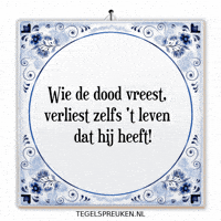 Humor Nl GIF by Tegelspreuken.nl