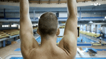 De Palo Piscina GIF by Movistar Plus+