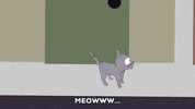 aroused cat GIF by South Park 