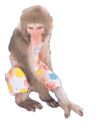 Fun Monkey Sticker